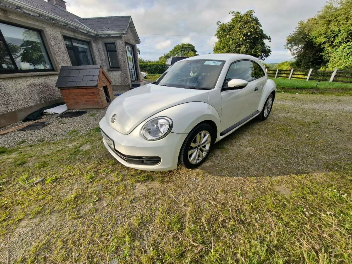 151 volkswagan beetle €8000 - Image 1