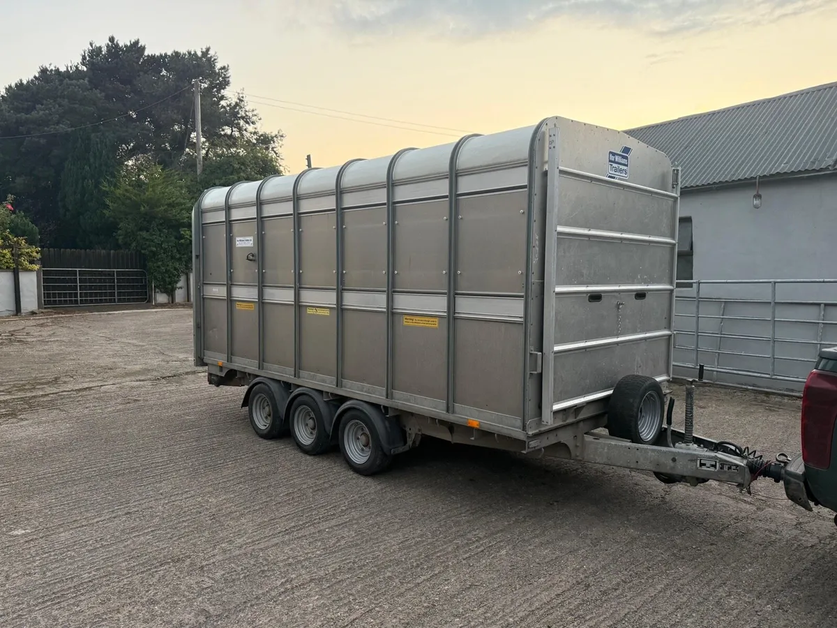 14x6.6 Ifor Williams livestock Trailer - Image 1