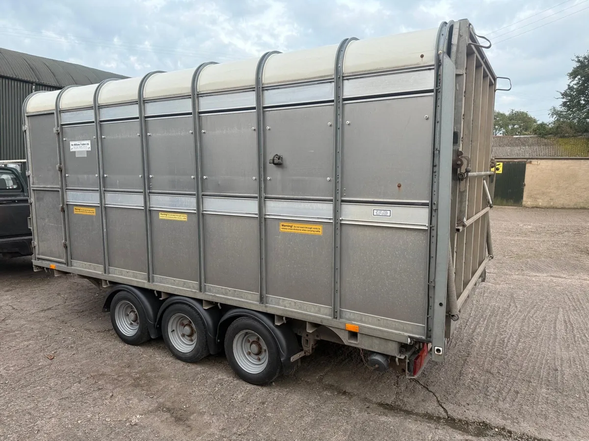 14x6.6 Ifor Williams livestock Trailer - Image 2