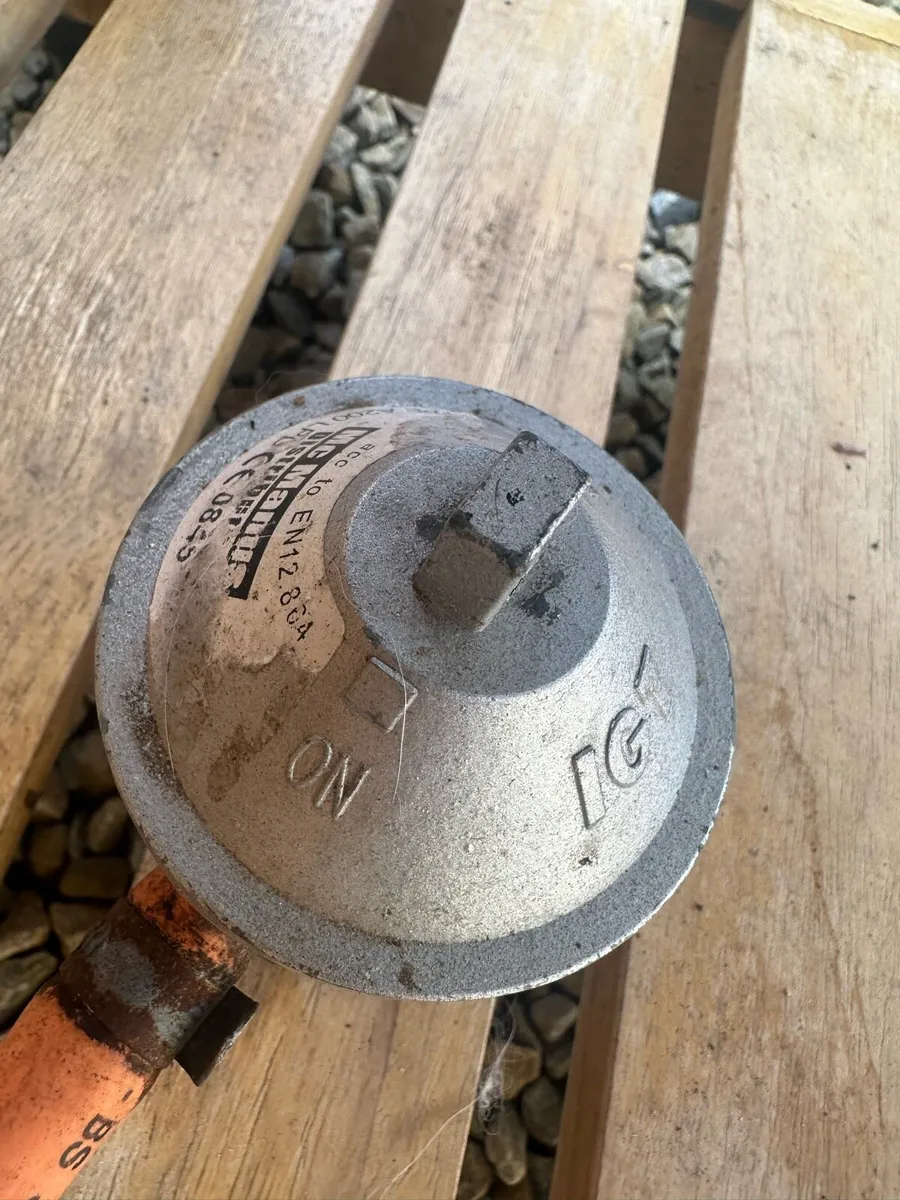 Gas BBQ - Image 3