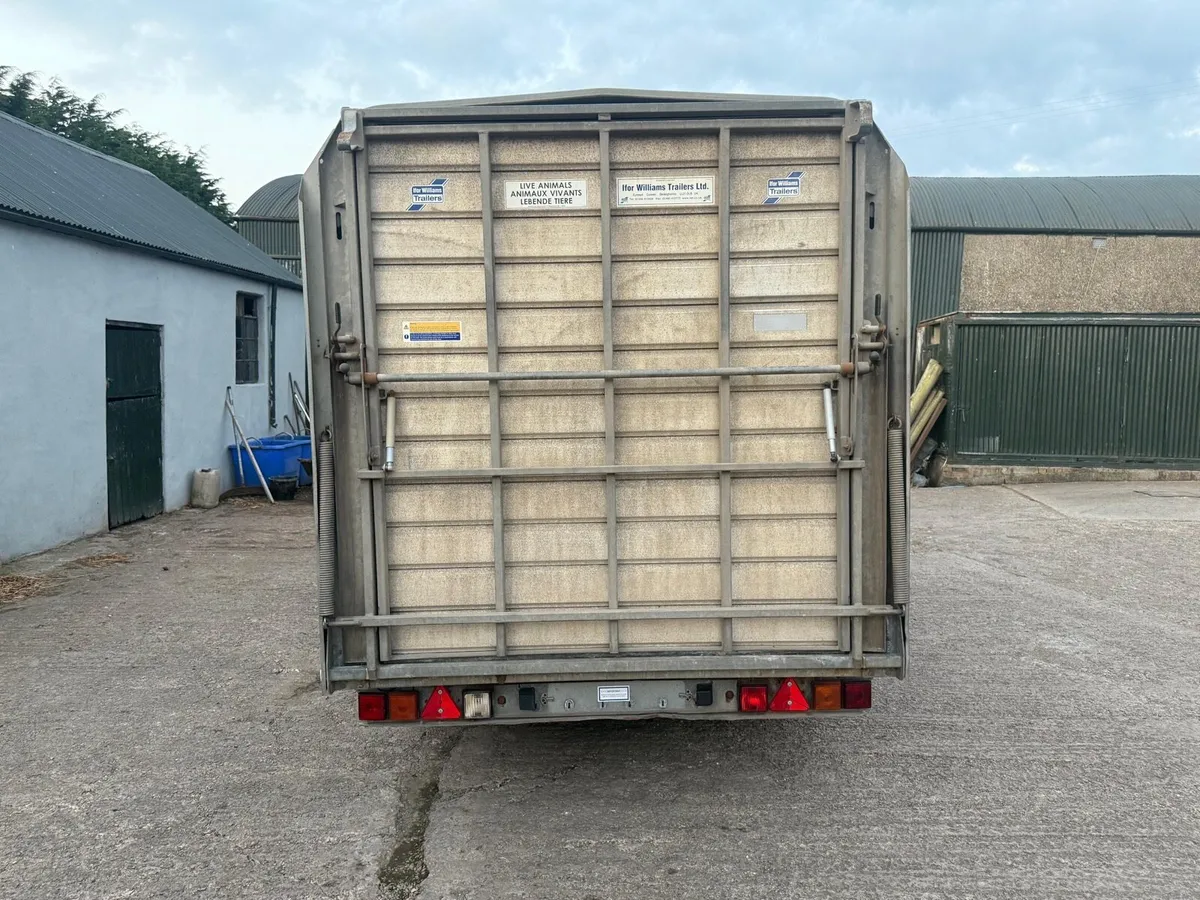 14x6.6 Ifor Williams livestock Trailer - Image 4