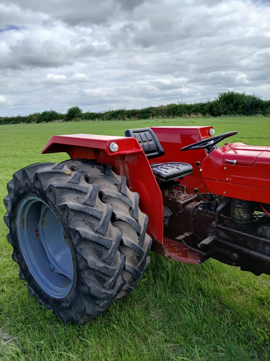 1968 Massey Ferguson 135 - Image 3