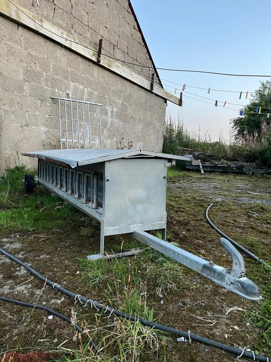 8ft Sheep Feeder