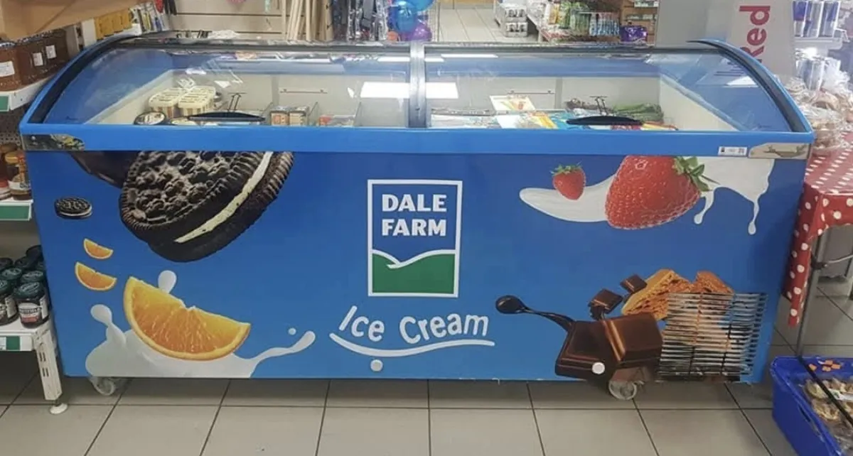 Dale Farm Ice Cream Display Freezer - Image 2