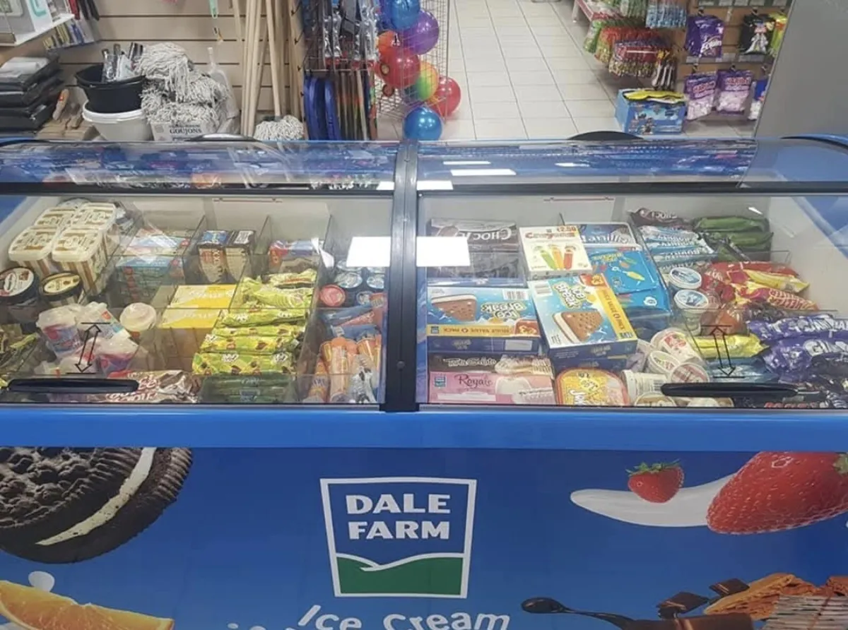 Dale Farm Ice Cream Display Freezer - Image 1