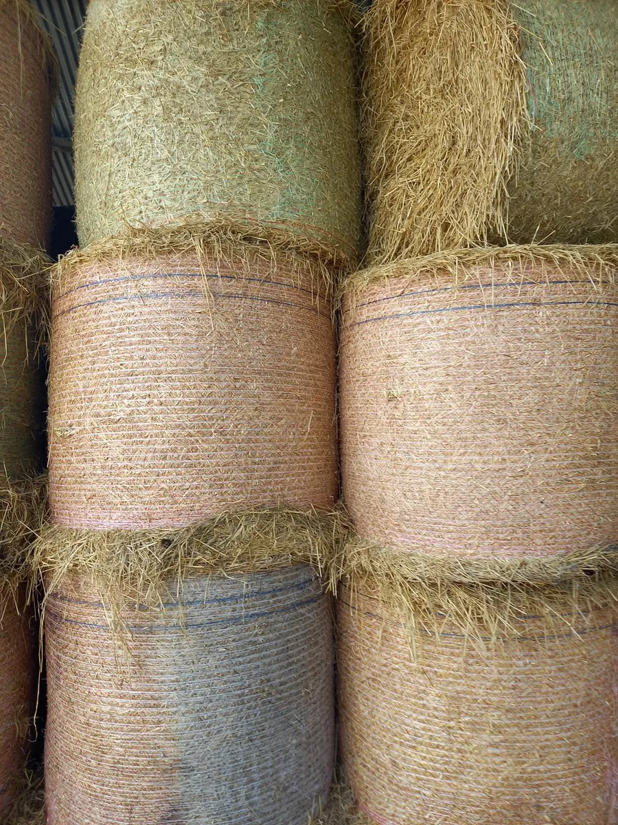 Barley Straw - Image 1