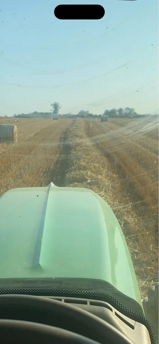 Straw barley and oats - Image 3