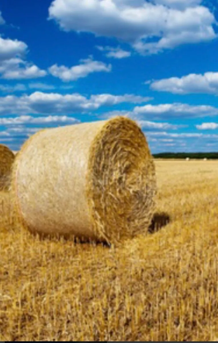 Straw