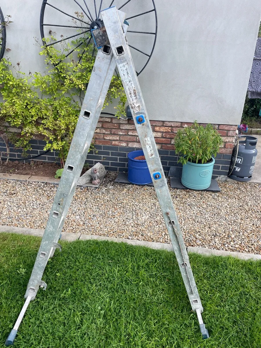 Ladder for sale - Image 3