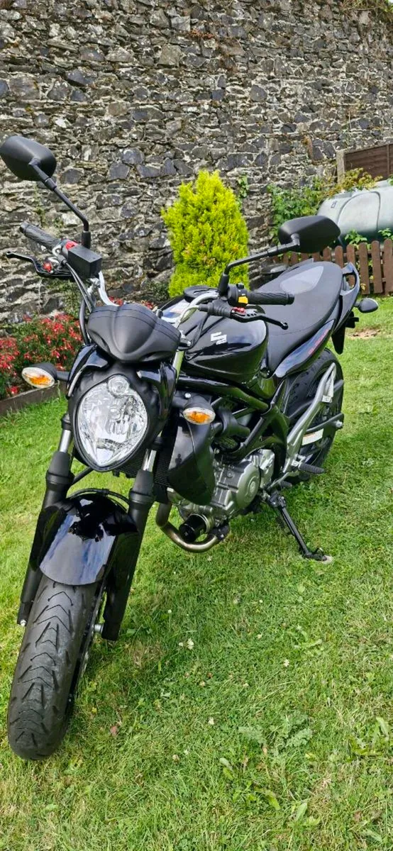SUZUKI SV650 GLADIUS - Image 2