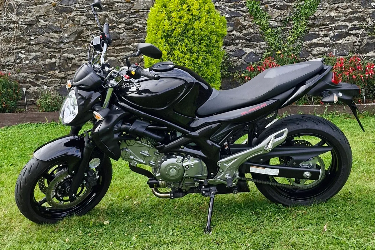 SUZUKI SV650 GLADIUS - Image 3