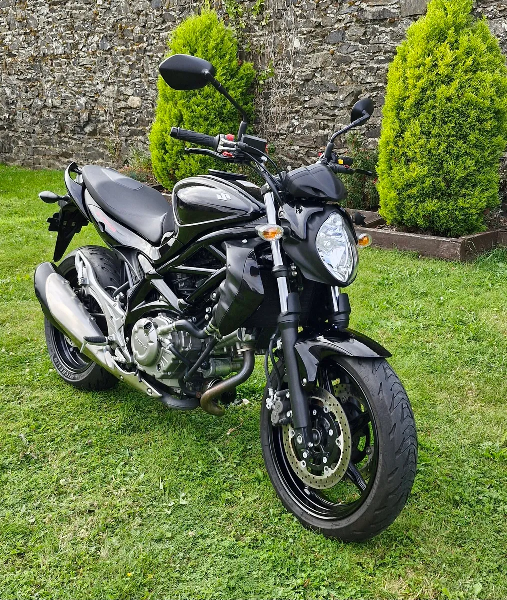 SUZUKI SV650 GLADIUS - Image 1