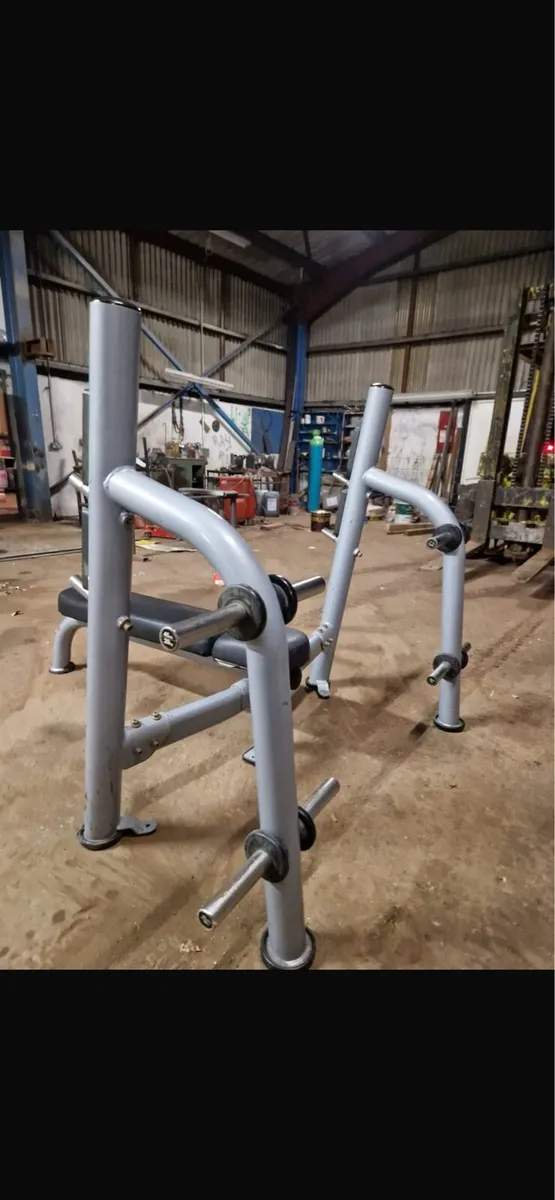Olympic decline bench - Image 2