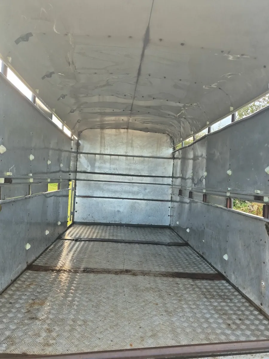 Cattle trailer - Image 2