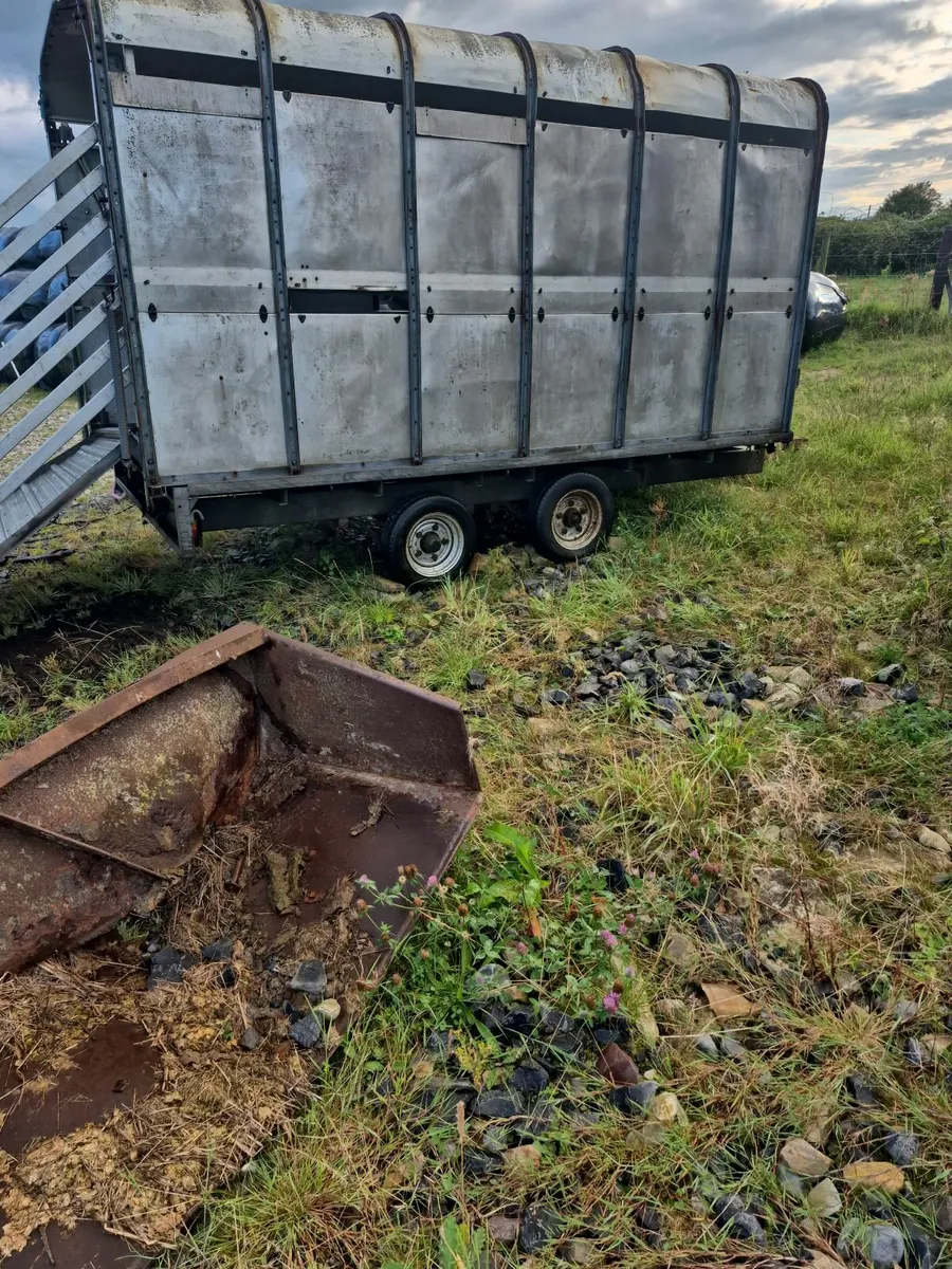 Cattle trailer - Image 4