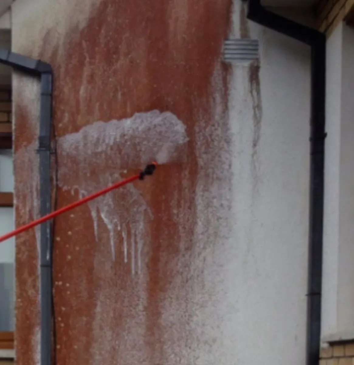 Hyperchloride red algae remover and mass removal - Image 4
