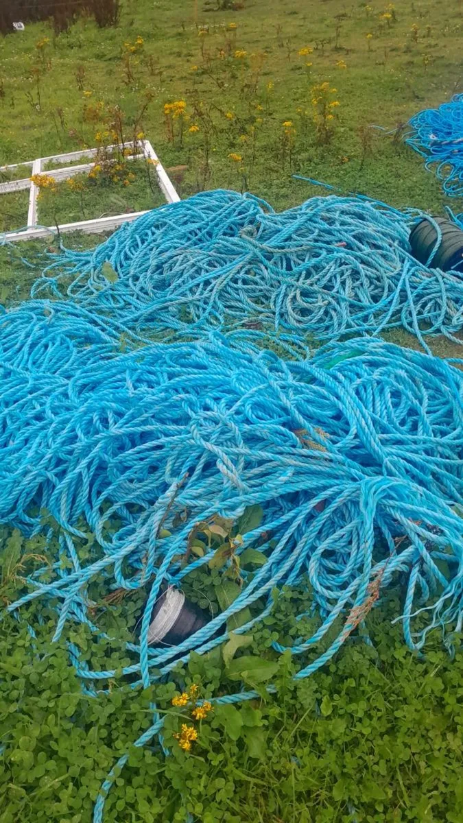 Rope on sale - Image 1