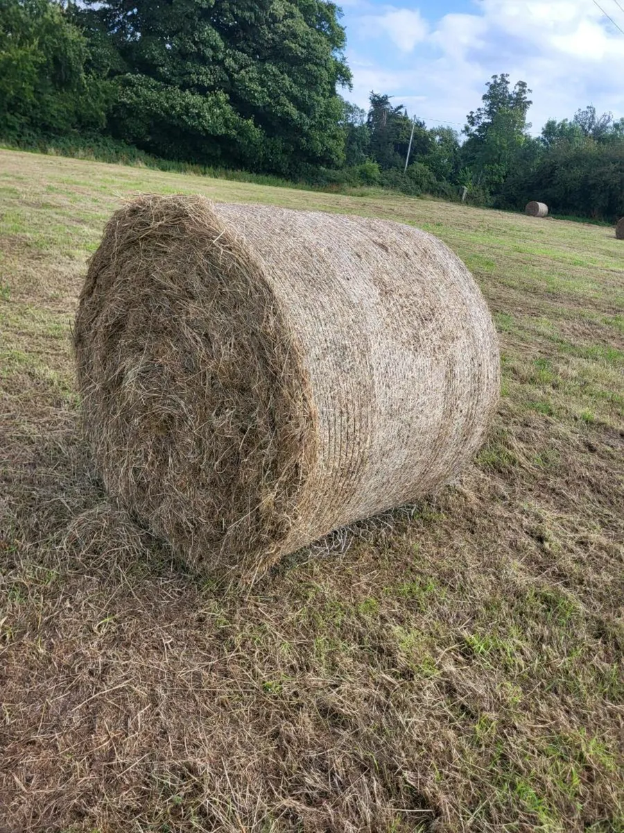 Hay & Haylage - Image 2