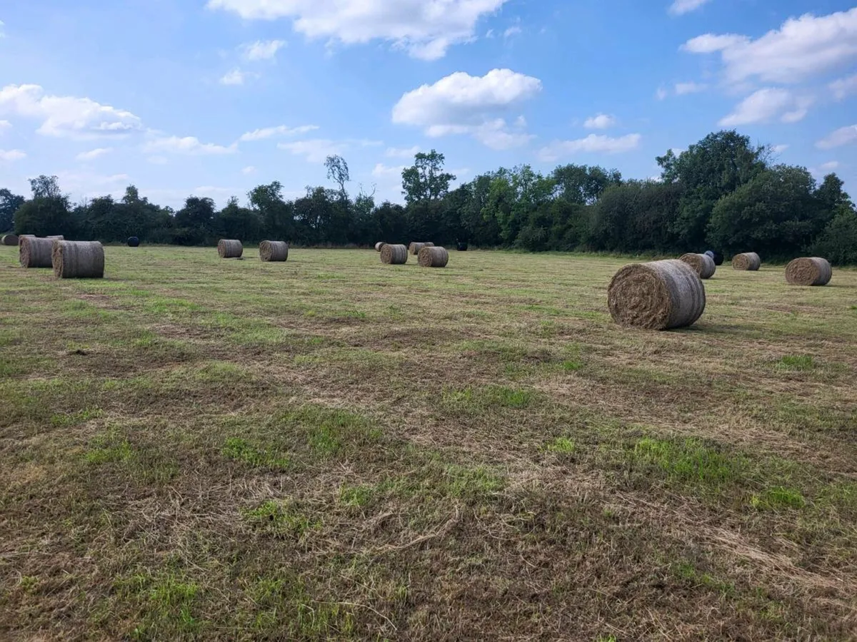 Hay & Haylage - Image 3