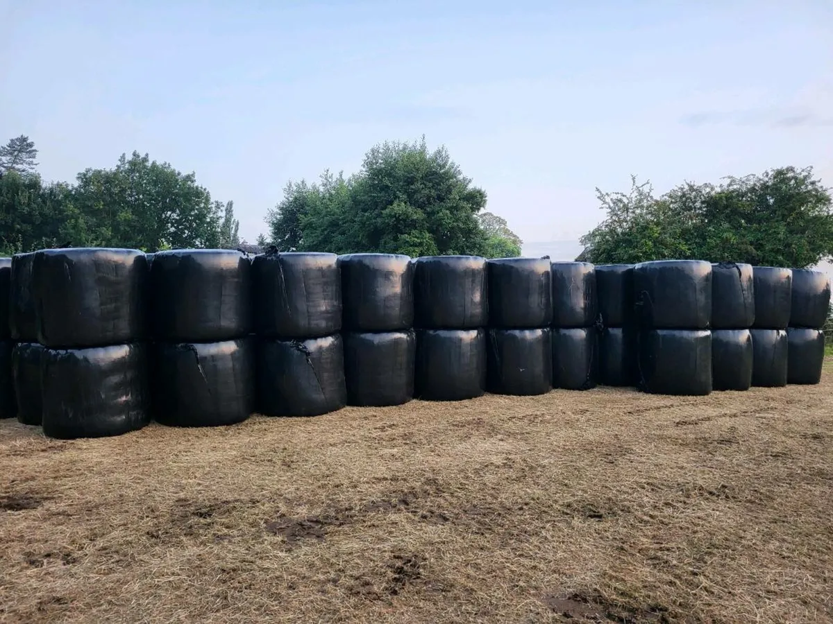 Hay & Haylage - Image 4