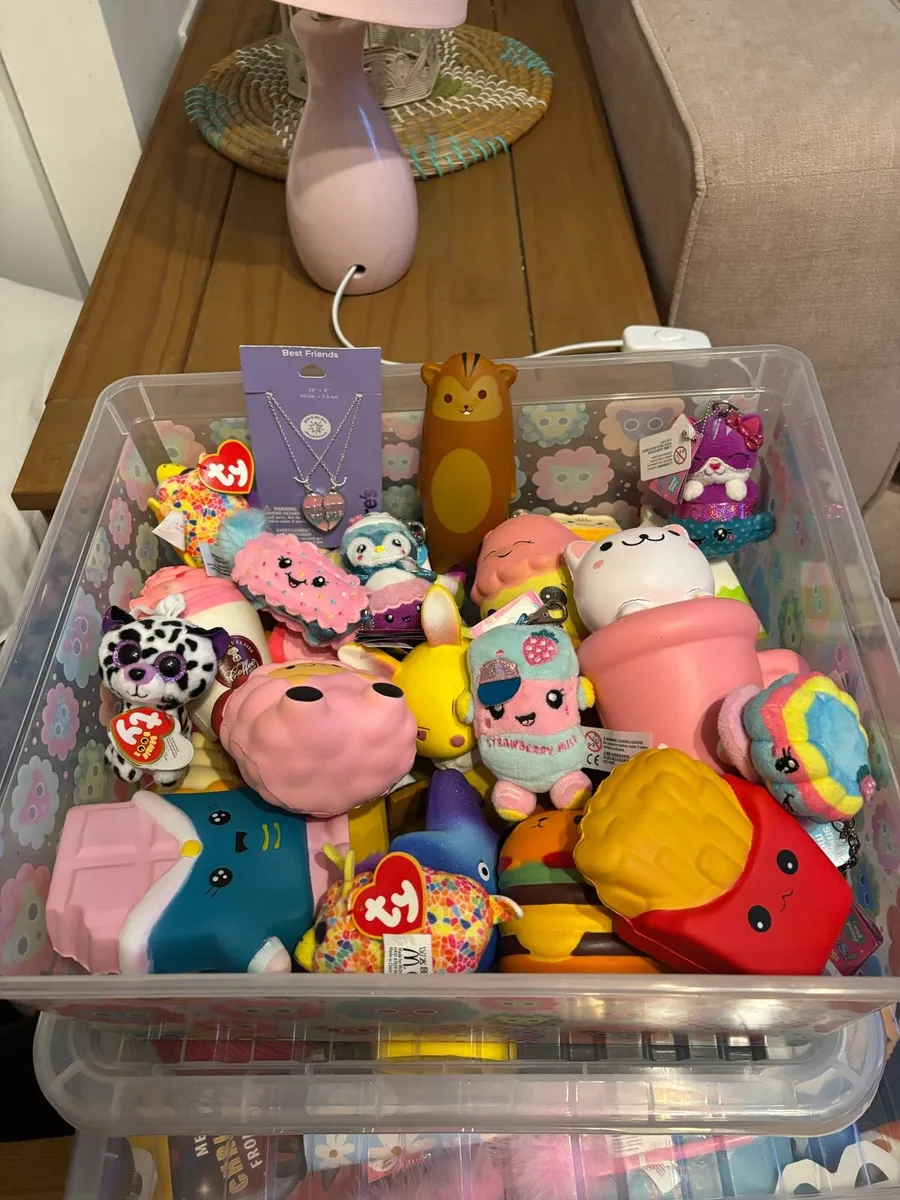 Large mix of Squishy toys and TYs - Image 1