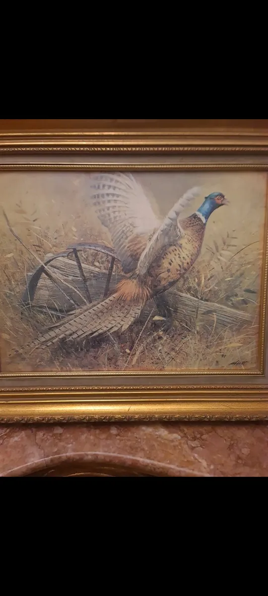 Pheasant in flight - Image 2
