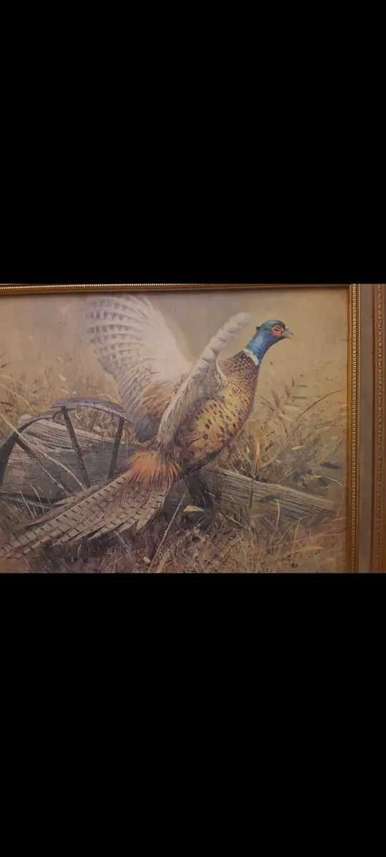 Pheasant in flight - Image 3