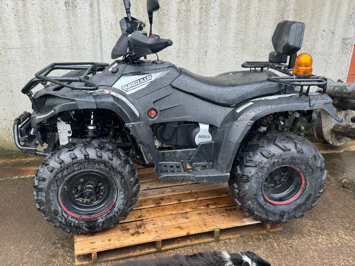 Quadzilla 400cc - Image 3