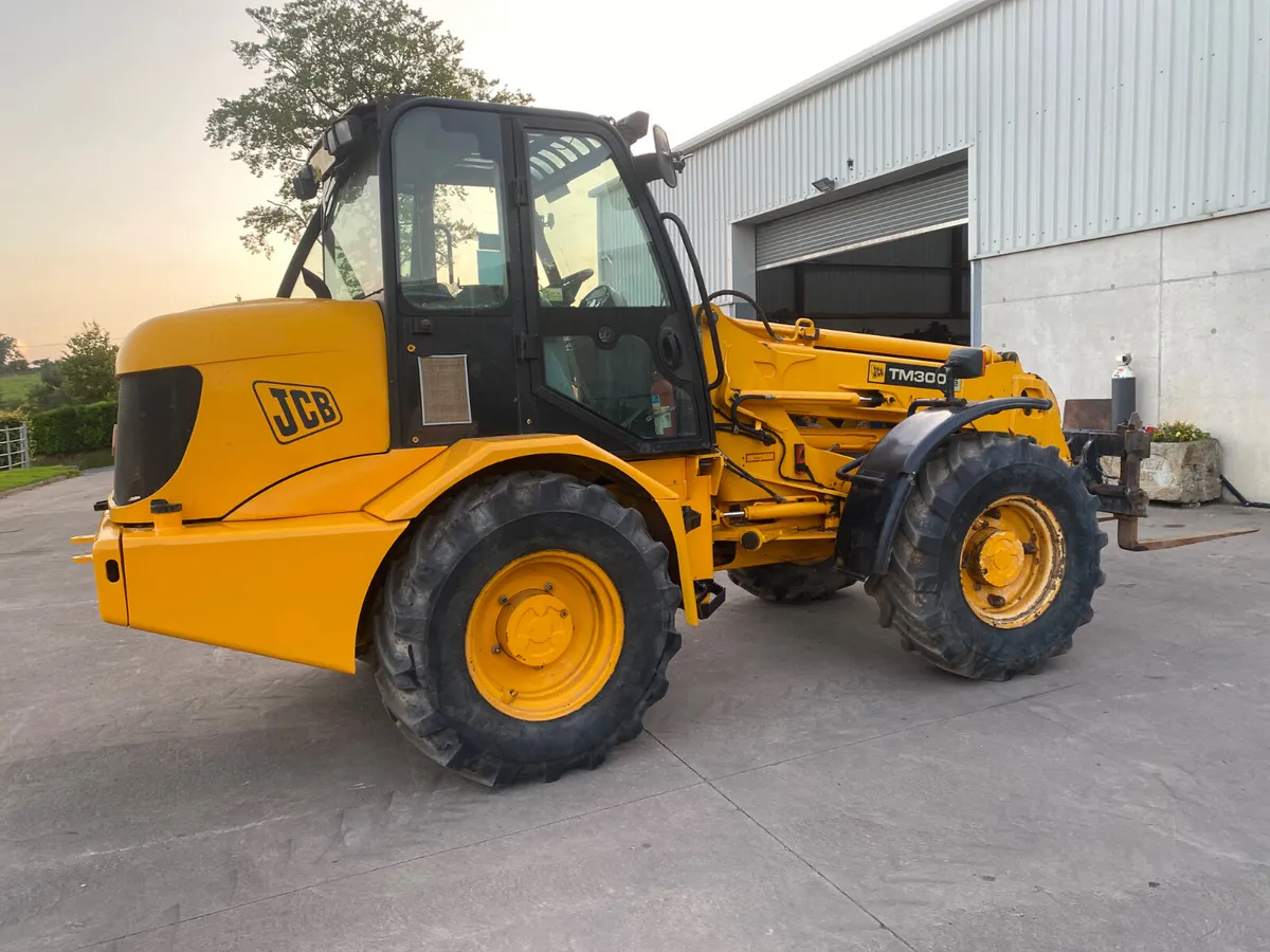 2006 JCB TM300 - Image 2