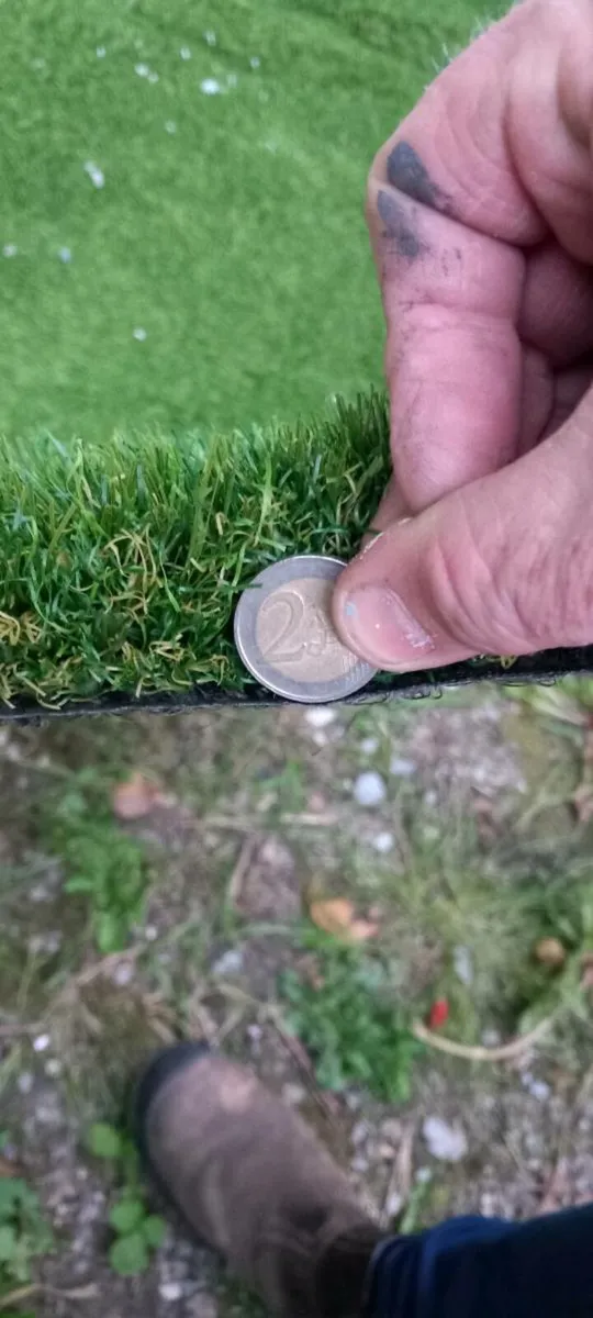 Artificial grass - Image 3