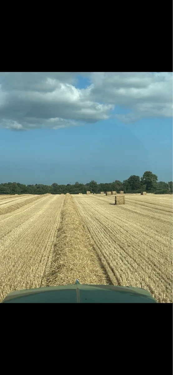 8X4X4 Wheaten straw - Image 1