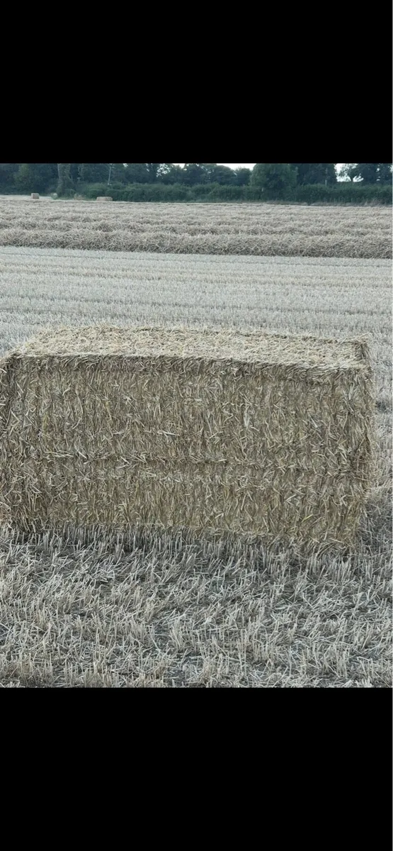 8X4X4 Wheaten straw - Image 3