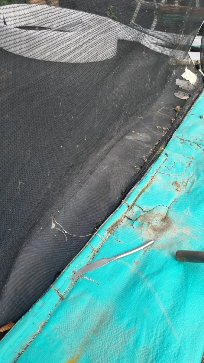 Trampoline FREE - Image 3