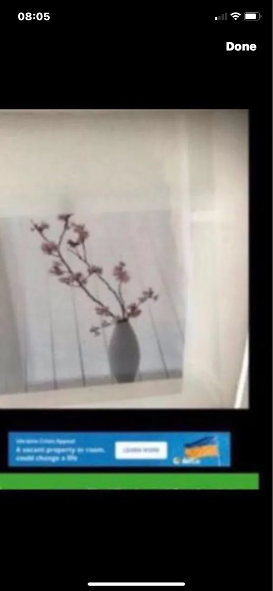 Framed Floral Prints - Image 4