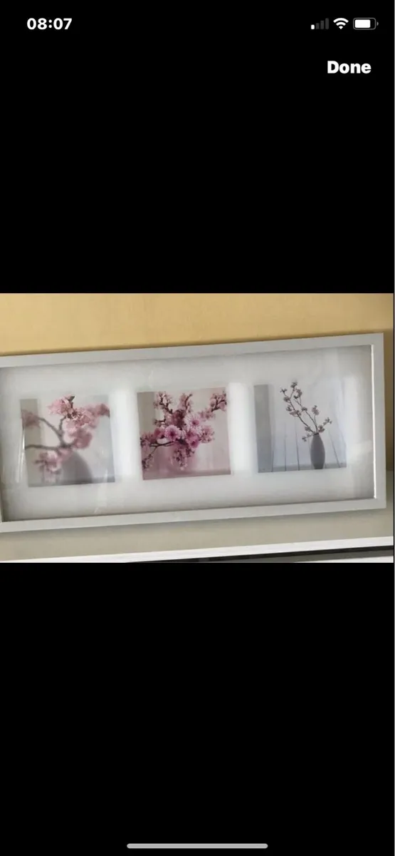 Framed Floral Prints - Image 1