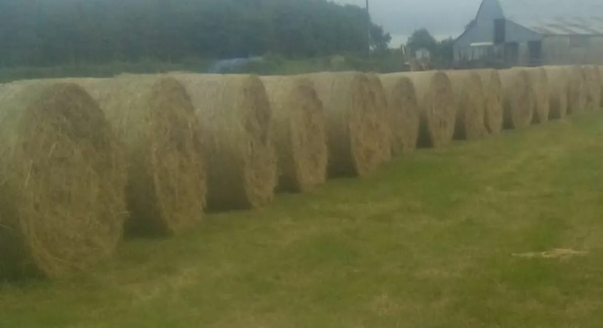Round bales of Hay - Image 2