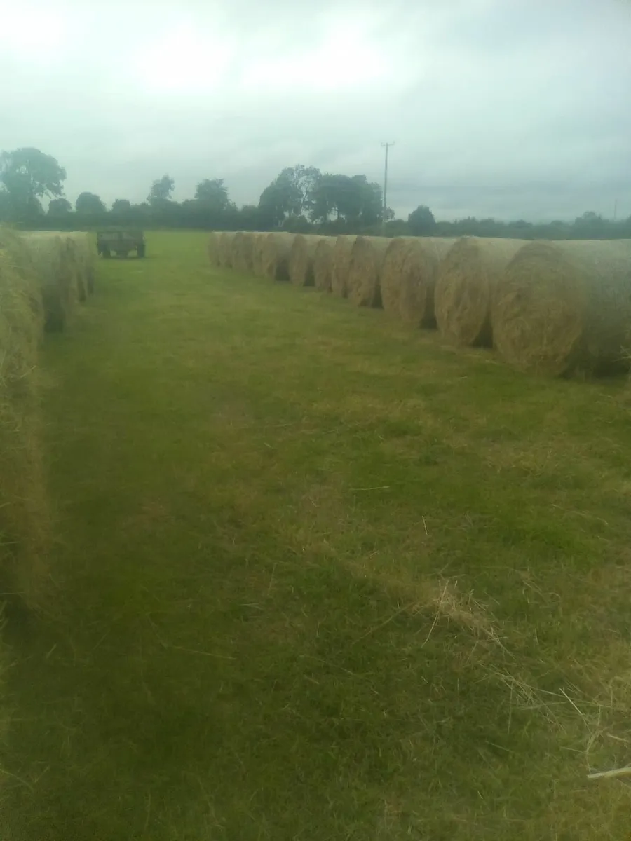 Round bales of Hay - Image 1