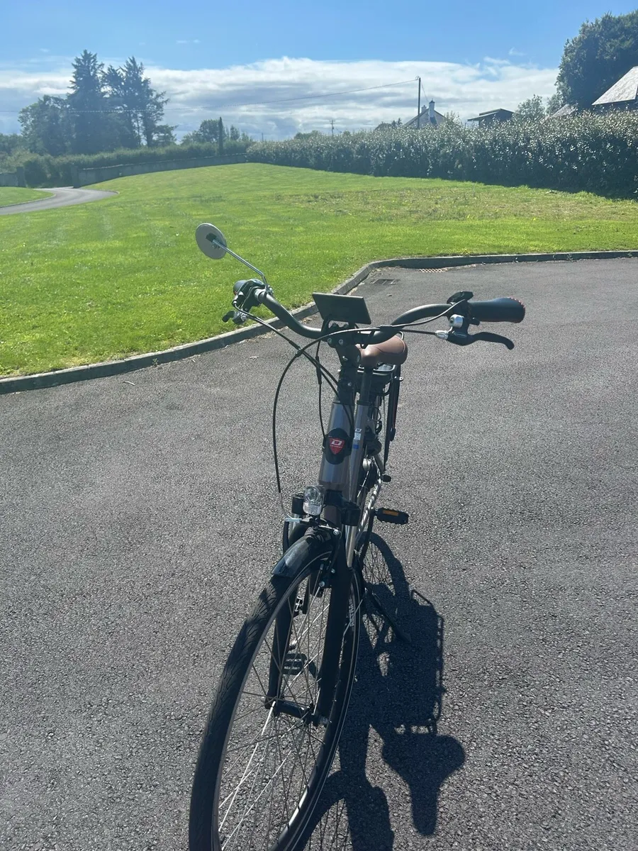 Electric Bike - Image 2