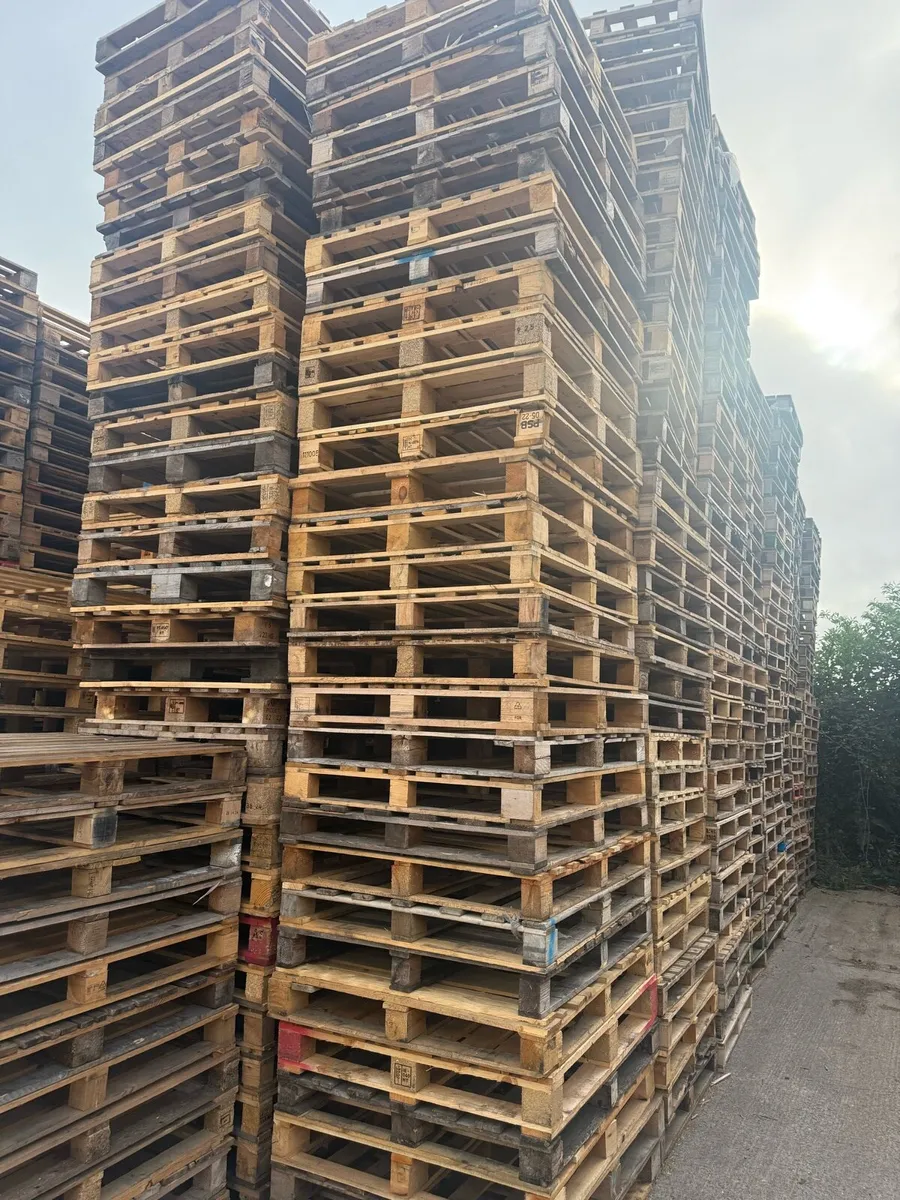 Timber pallets - Image 2