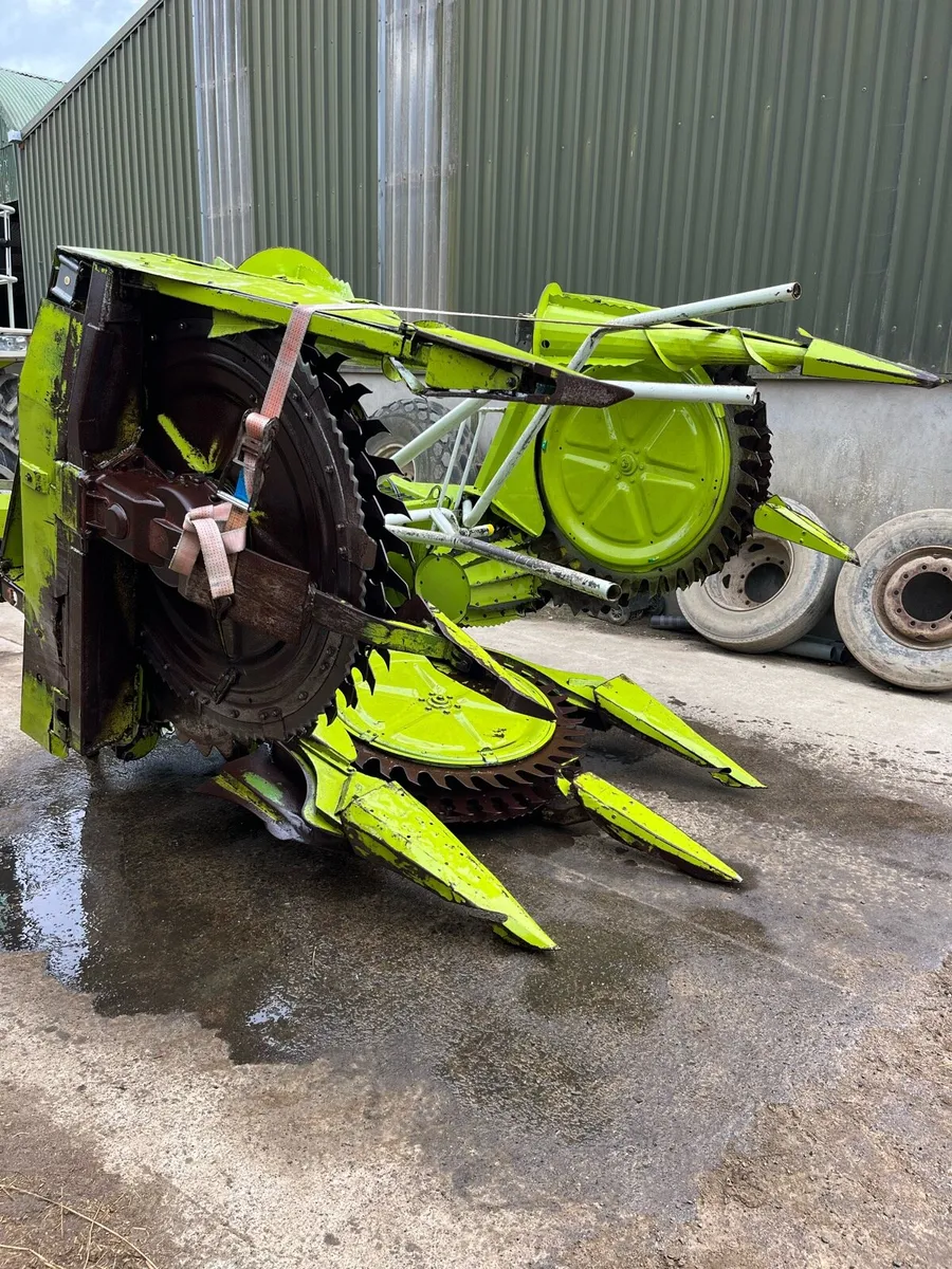 Claas ru450 maize headed - Image 3