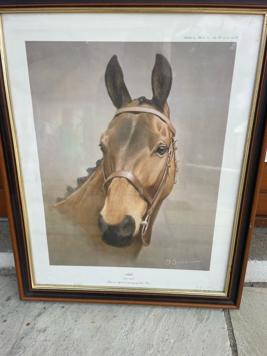 Portraits of Famous  Horses - Image 2