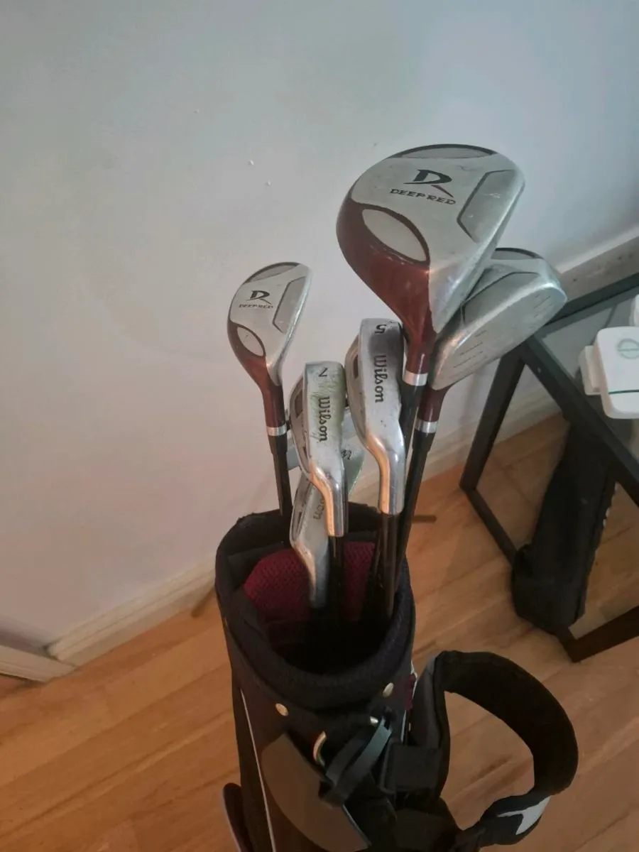 Junior Golf Clubs - Image 1
