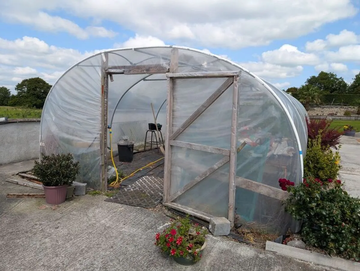 Polytunnel - Image 3