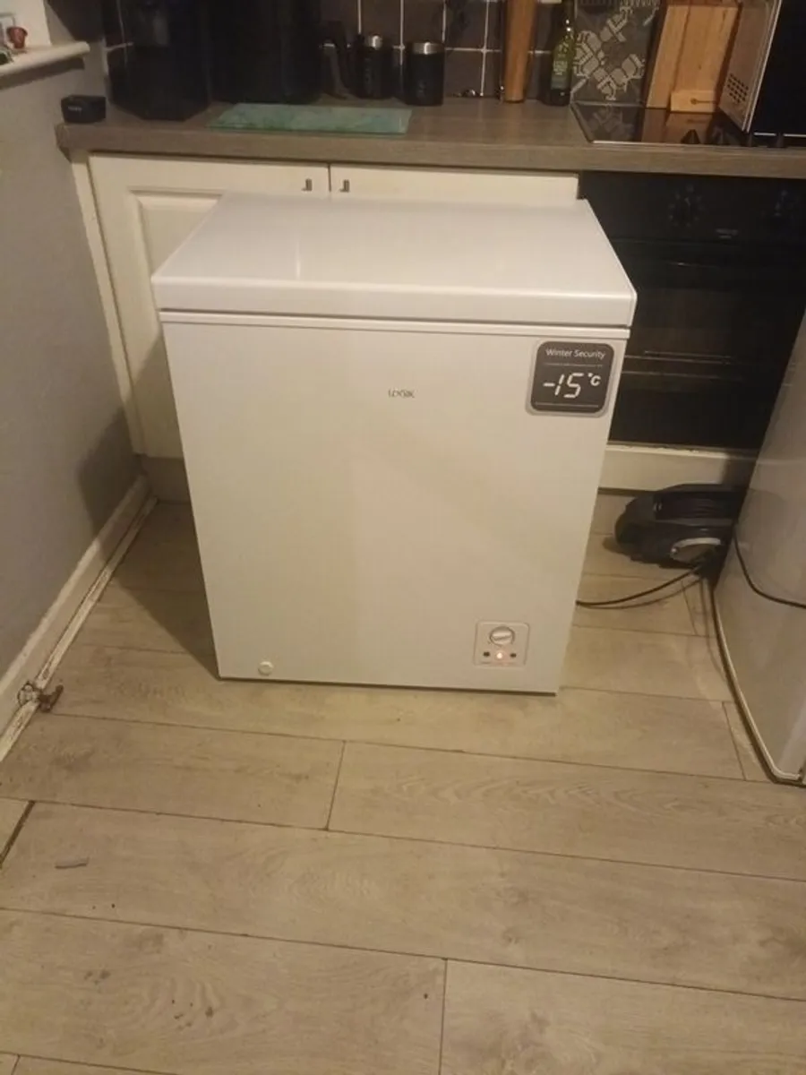 Large Chest Freezer - Image 1