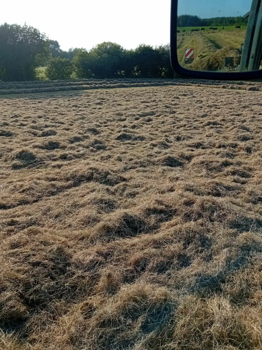 Hay Large Round Bales - Image 4