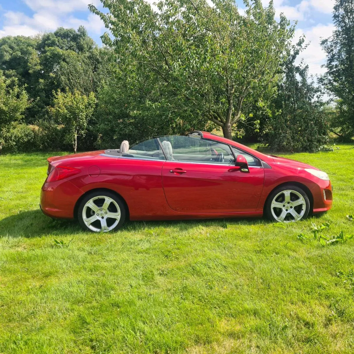 Car - Image 4
