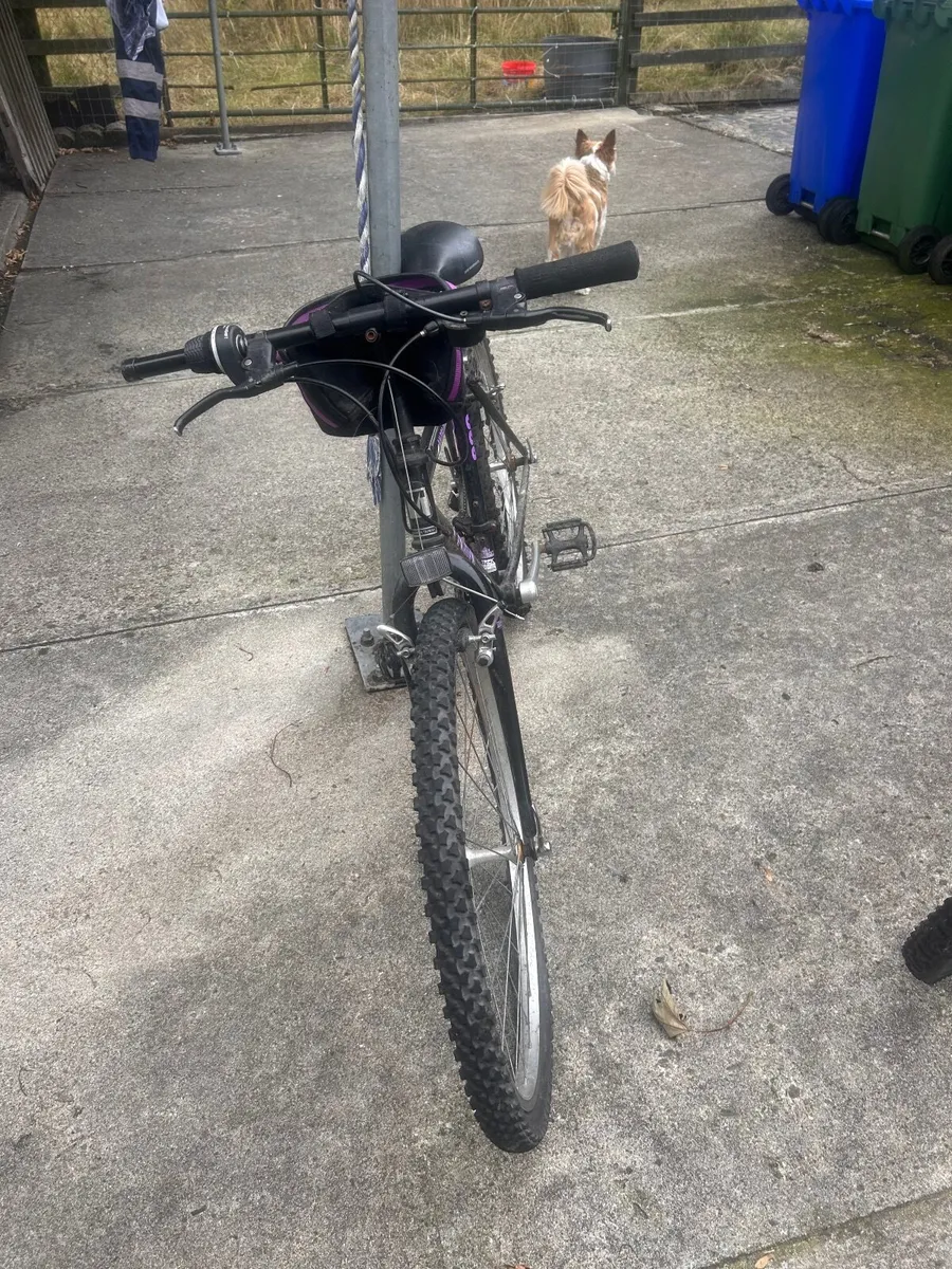 Three Bikes for sale - Image 2