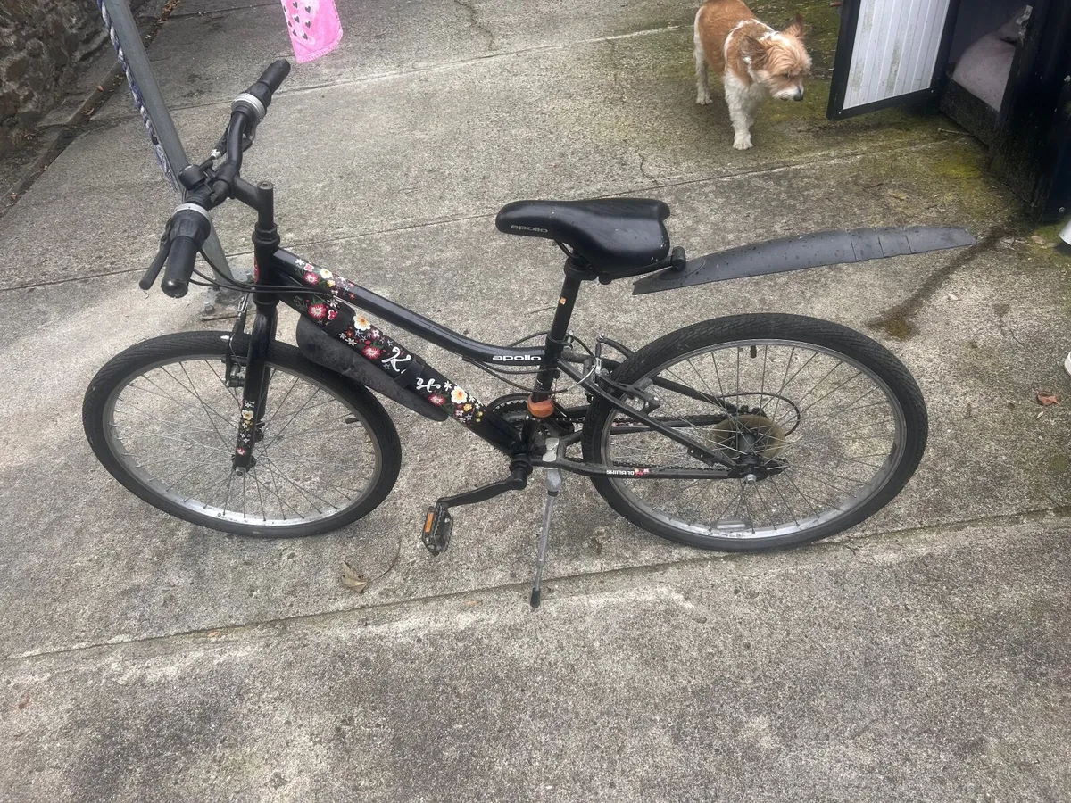 Three Bikes for sale - Image 1