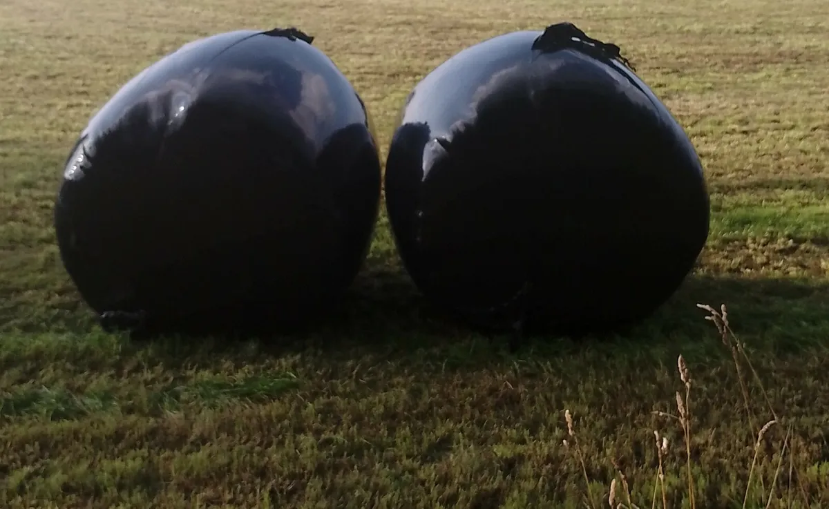 Haylage (Round Bales)
