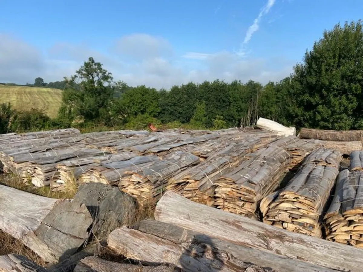 Firewood - Image 1